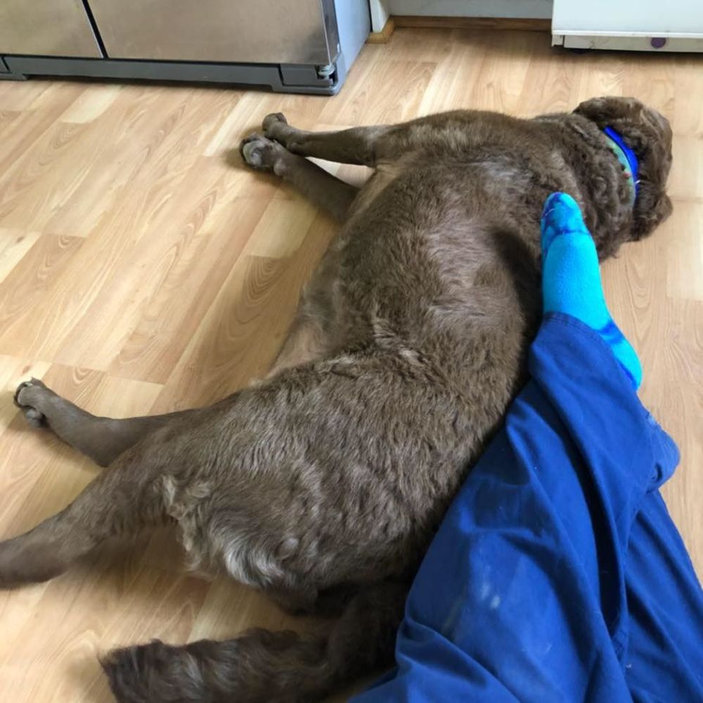 Meet your Posher, Jessica